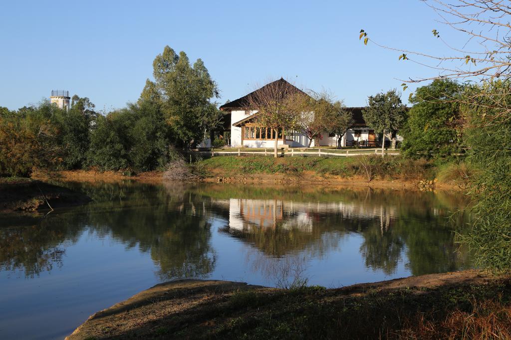Ardea Purpurea Villamanrique De La Condesa Exterior foto