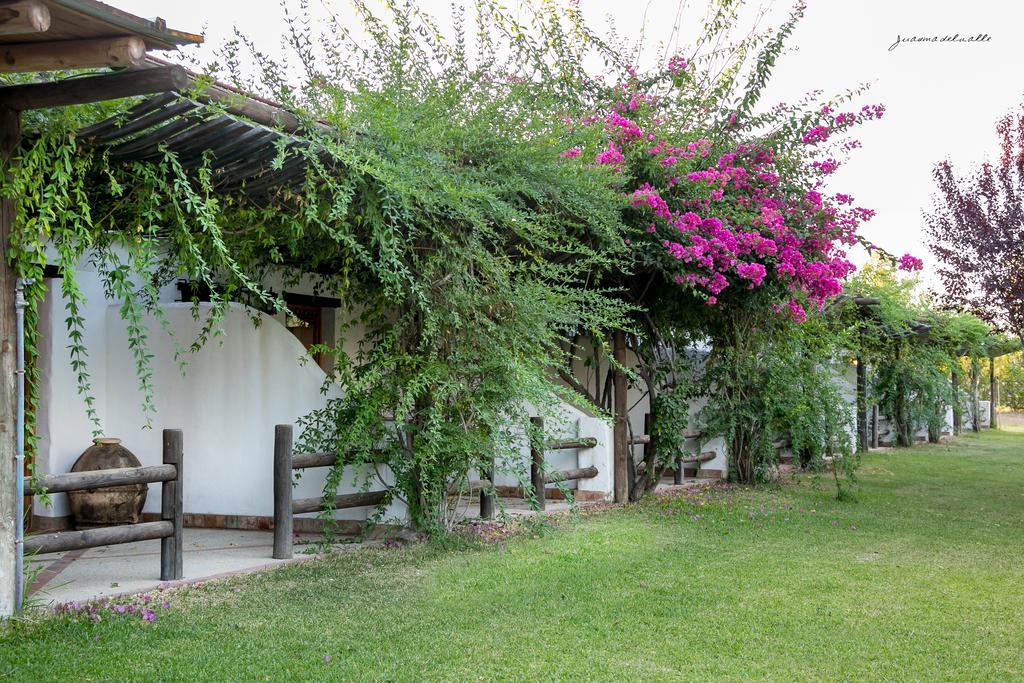 Ardea Purpurea Villamanrique De La Condesa Exterior foto